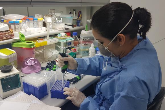 Cientistas da Fiocruz descobrem que pernilongos podem transmitir zika vírus.