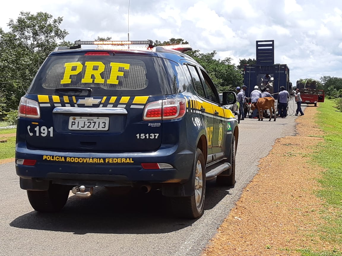 PRF busca diminuir número de acidentes nas pistas.