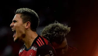 Flamengo vence de 7 a 1 e avança na Copa Libertadores da América