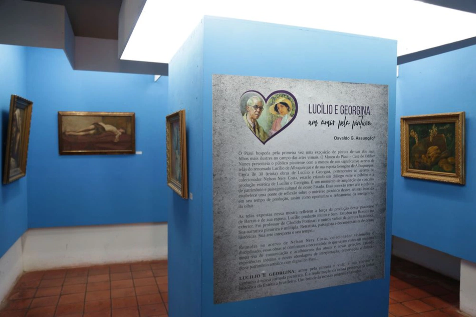 museu do Piauí expõe pintura