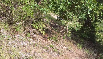 Corpo de jovem é encontrado às margens da estrada entre José de Freitas