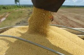 Soja foi o principal produto exportado por Mato Grosso do Sul em 2012