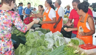 A feira envolve agricultores de cinco comunidades rurais de Teresina