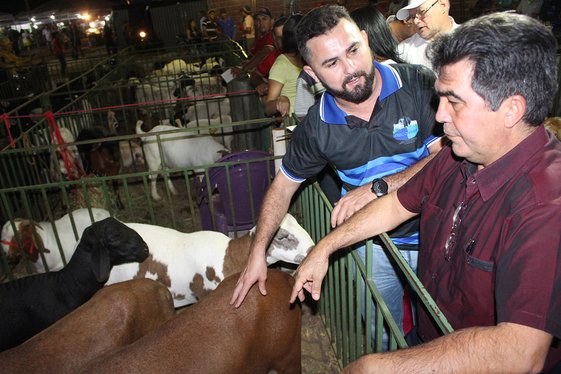 SDR vai investir R$ 1,2 milhão em Jacobina em atividades com animais.