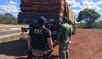 Carga ilegal de madeira apreendida