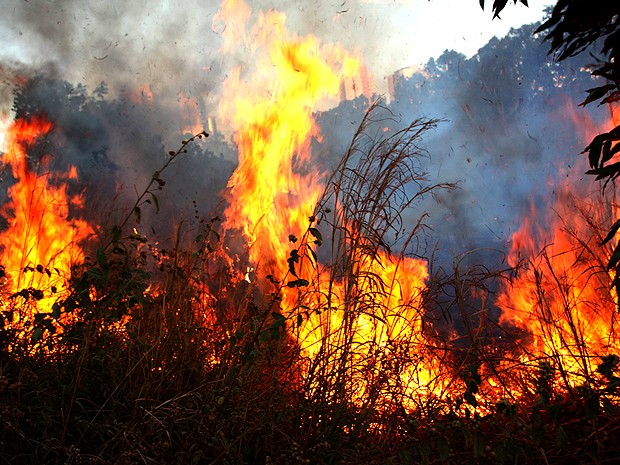 MP-PI elabora plano de prevenção e combate a queimadas em Teresina.