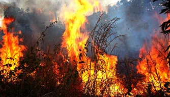 MP-PI elabora plano de prevenção e combate a queimadas em Teresina.