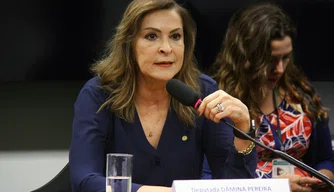 Relatora da proposta, deputada Dâmina Pereira (PSL-MG).
