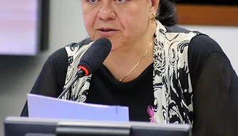 Deputada Laura Carneiro, relatora na comissão.