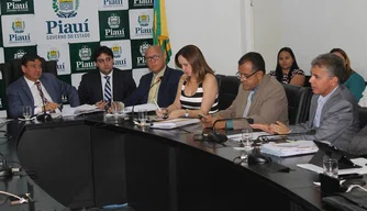 Reunião sobre ppp no Piauí
