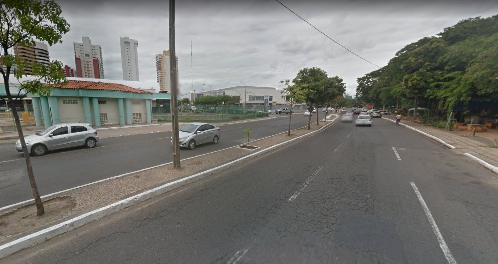 Avenida Raul Lopes