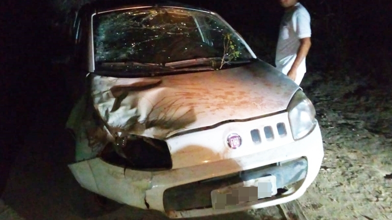 Quatro pessoas estavam no veículo modelo Fiat Uno quando ocorreu o acidente.