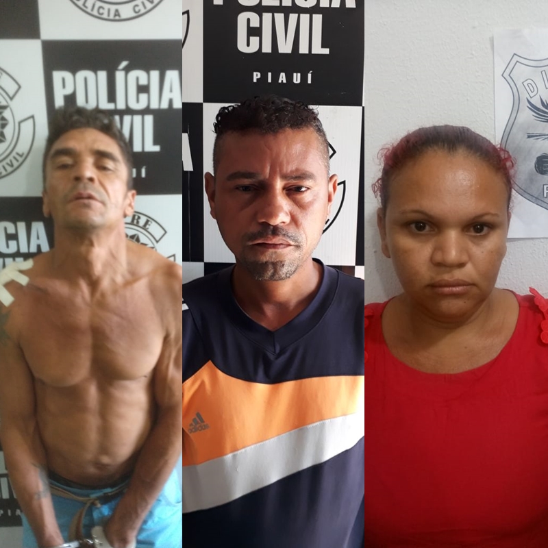 Acusados foram presos na Operação Piauí Seguro.