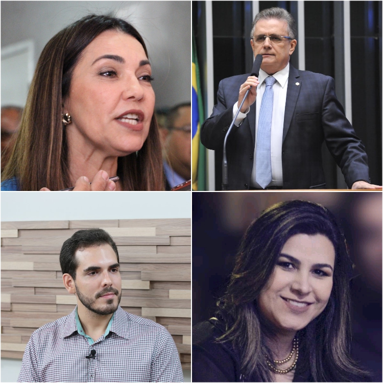 Novos deputados federais eleitos pelo Piauí nas Eleições 2018.