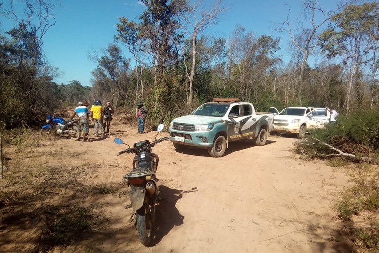 Operação contra desmatamento