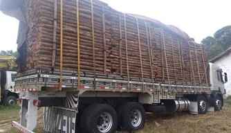 Carga de madeira ilegal apreendida pela Semar em Caraúbas do Piauí.