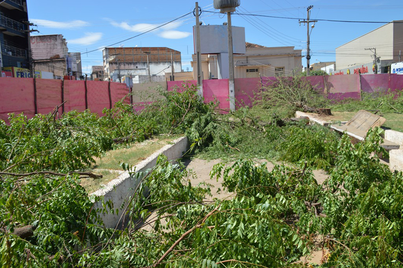Árvores derrubadas na praça Josino Ferreira, em Picos.