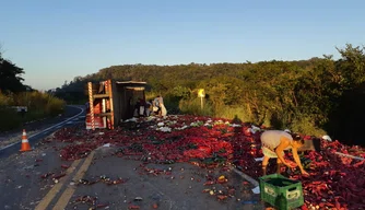 Um caminhão que transportava uma carga de verduras tombou na BR-343, em Altos.