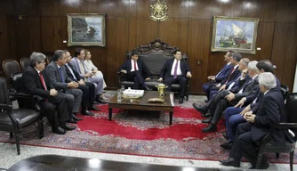 Wellington Dias durante reunião com parlamentares em Brasília.