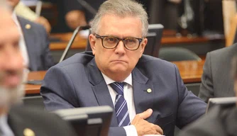 Deputado Flávio Nogueira (PDT).