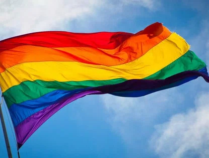 IBGE: 2,9 milhões de adultos se declararam homossexuais ou bi em 2019