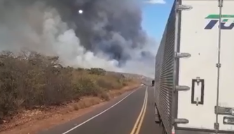 Incêndio florestal de grandes proporções na BR-324, região Sudoeste do Piauí.