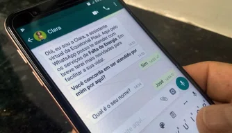 Clientes podem utilizar o WhatsApp para contatar a empresa.
