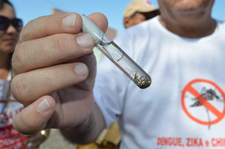 Projeto Faxina nos Bairros para combater os focos do mosquito da dengue.