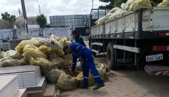 SDU coletou 34 toneladas de lixo de janeiro a novembro