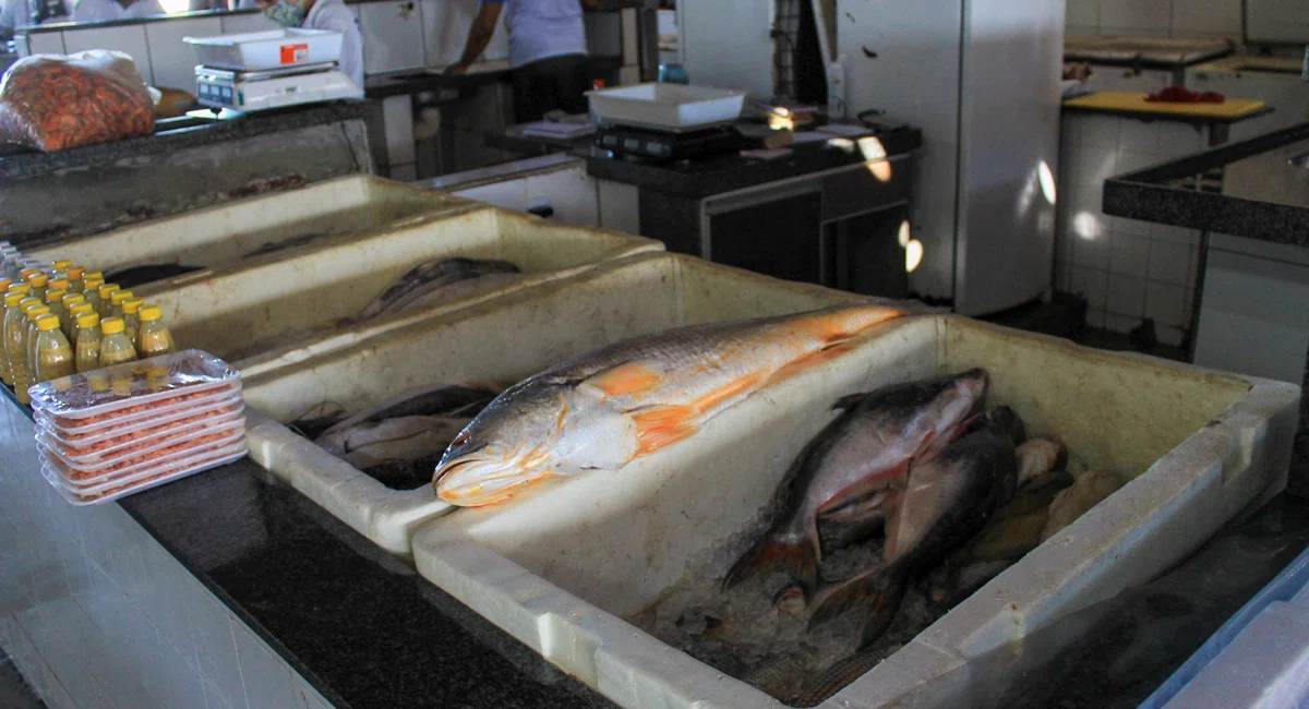 Mercado do peixe, São João
