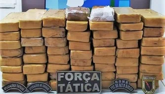 Polícia Militar apreende 59 tabletes de maconha em Simplício Mendes
