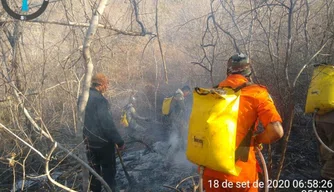 Órgãos trabalham em conjunto no combate às queimadas no Piauí