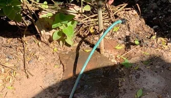 Moradores denunciam desabastecimento de água em Altos