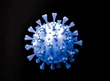 Novo coronavírus