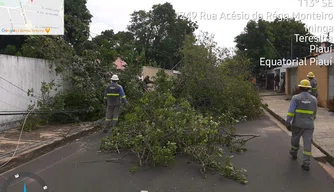 Árvores caem sobre rede elétrica e deixa moradores sem energia, na cidade de Teresina.
