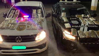 Polícia Civil apreende 51 kg de Cannabis Sativa (Skank) em Fronteiras.