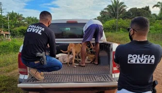 Polícia Civil prende acusados de maus-tratos contra animais