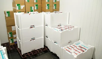 Piauí recebe mais de 89 mil doses de vacinas contra a Covid-19