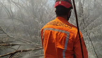 Corpo de Bombeiros realiza força-tarefa para combater focos de incêndios no Piauí.