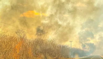 Novo foco de incêndio volta a tingir vegetação em São Raimundo Nonato