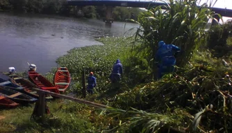 Prefeitura de Teresina inicia retirada dos aguapés do Rio Poti