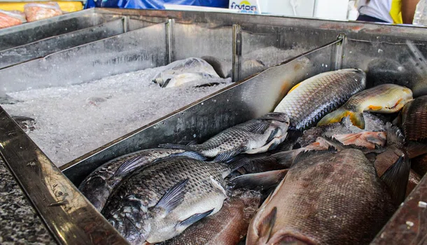 Após queda nas vendas, Mercado do Peixe de Teresina tenta atrair clientes