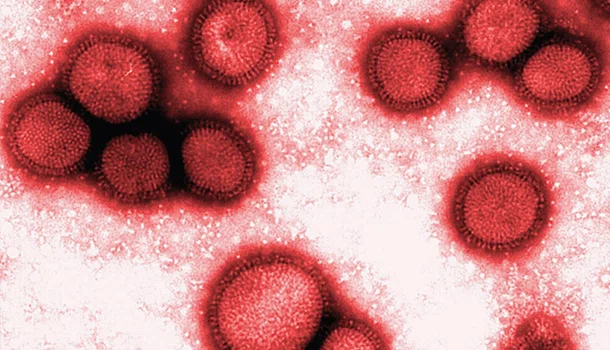 Secretaria de Saúde registra 105 casos de Influenza H3N2 no Piauí