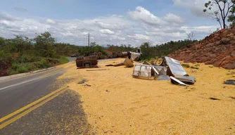 Caminhão após tombar na BR 135 em São Gonçalo do Gurguéia.