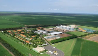 Piauí vai sediar abertura nacional da colheita de soja.