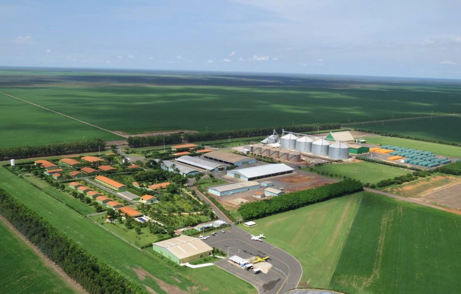 Piauí vai sediar abertura nacional da colheita de soja.