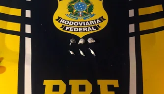 PRF autua homem por porte de droga em Oeiras.