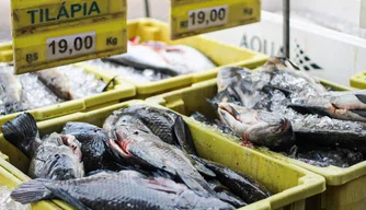 Movimentação no mercado do peixe