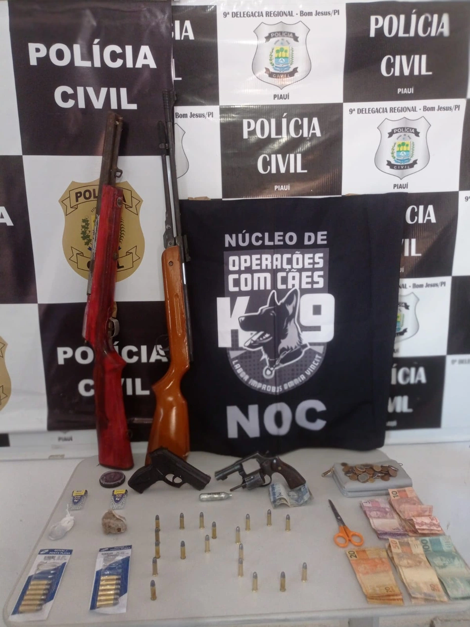 Apreensão de armas no sul do Piauí pela Polícia Civil