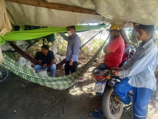 Dez trabalhadores são resgatados em situação de escravidão em Currais e Palmeira